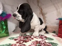 processed/0e4b9102-c4a8-43e7-9c48-8692efa6e79b/listing/fe7d0e30-525a-41b9-96a7-2ff57d598d4d/e84487ce-168d-461d-97bb-7d1306355706