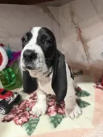 processed/0e4b9102-c4a8-43e7-9c48-8692efa6e79b/listing/fe7d0e30-525a-41b9-96a7-2ff57d598d4d/fbd017e7-c983-43ac-ab50-dd221d548be8