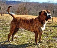 processed/0e5abcf8-1bae-477e-b293-a9cd481c01c8/facility/26bd98b2-2921-42b8-89c5-4c79236c62b5