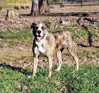 processed/0e5abcf8-1bae-477e-b293-a9cd481c01c8/facility/a79d1682-1ab0-474f-a6d4-d637939c7b53