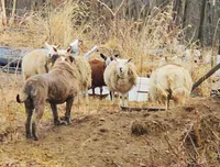 processed/0e5abcf8-1bae-477e-b293-a9cd481c01c8/facility/c4d478e3-67bb-4cbc-beb0-8c38ae12cd98