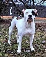 processed/0e5abcf8-1bae-477e-b293-a9cd481c01c8/facility/d42017d3-e377-4082-a5c2-c55bc6e4ed3e