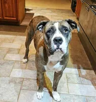 processed/0e5abcf8-1bae-477e-b293-a9cd481c01c8/facility/da70db74-bc42-4000-9efd-2bb61bdc765b