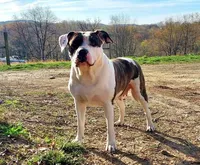 processed/0e5abcf8-1bae-477e-b293-a9cd481c01c8/facility/ec6311e1-4b25-4015-81e1-dd4f3a2ef285