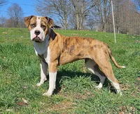 processed/0e5abcf8-1bae-477e-b293-a9cd481c01c8/facility/fd2e9427-2e43-4a30-a902-c9db953988f9