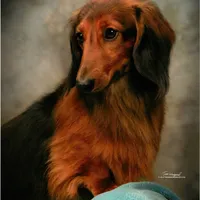 processed/0e5b4887-a4b2-4cd1-8cd7-a75b7c45e015/facility/4355c8cc-07fc-4a1b-98a4-35c05c0d5dee