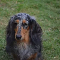 processed/0e5b4887-a4b2-4cd1-8cd7-a75b7c45e015/facility/5fd46fa6-d500-4079-8775-08c0260ebb77