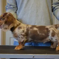 processed/0e5b4887-a4b2-4cd1-8cd7-a75b7c45e015/facility/86be575f-43d2-4f5c-9937-e2578390e536