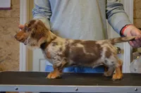 processed/0e5b4887-a4b2-4cd1-8cd7-a75b7c45e015/facility/86be575f-43d2-4f5c-9937-e2578390e536