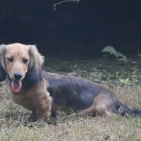 processed/0e5b4887-a4b2-4cd1-8cd7-a75b7c45e015/facility/a804cde4-fd14-4682-a55a-d67927c71321