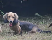 processed/0e5b4887-a4b2-4cd1-8cd7-a75b7c45e015/facility/a804cde4-fd14-4682-a55a-d67927c71321