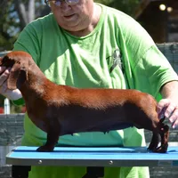 processed/0e5b4887-a4b2-4cd1-8cd7-a75b7c45e015/facility/d2e7868b-1dab-4a55-96e4-154b2a1d3c5d