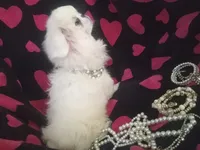 processed/0e617a31-8efb-453f-b2b5-5fce0c1a5760/listing/65baed8b-ddd5-4086-95b8-a781cb0011e2/0d504850-3dfe-43e4-b9b2-9c9ba34292e4