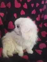 processed/0e617a31-8efb-453f-b2b5-5fce0c1a5760/listing/65baed8b-ddd5-4086-95b8-a781cb0011e2/74719d1a-36ed-477c-8f8e-26160369861c