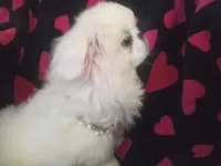 processed/0e617a31-8efb-453f-b2b5-5fce0c1a5760/listing/65baed8b-ddd5-4086-95b8-a781cb0011e2/a0cd8dc4-51ca-4259-b9c0-0a4fddd5ef22