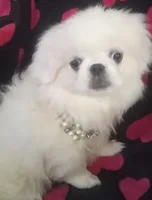 processed/0e617a31-8efb-453f-b2b5-5fce0c1a5760/listing/65baed8b-ddd5-4086-95b8-a781cb0011e2/b1ad7daf-97ee-446e-94e4-002fb3c4fe1e