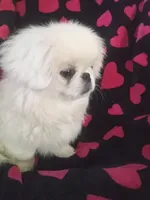 processed/0e617a31-8efb-453f-b2b5-5fce0c1a5760/listing/65baed8b-ddd5-4086-95b8-a781cb0011e2/b42a909a-178a-4c91-96bf-bde0ad14a232