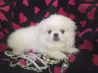 processed/0e617a31-8efb-453f-b2b5-5fce0c1a5760/listing/65baed8b-ddd5-4086-95b8-a781cb0011e2/d7b20fd1-43cf-432c-b7bc-aaa7661fb3c9