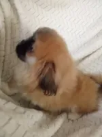 processed/0e617a31-8efb-453f-b2b5-5fce0c1a5760/listing/a519541d-bbf1-482d-9bd8-8bdfff9c9fb6/05ed5e66-646b-4492-be96-79aadfbd5ec1