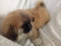 processed/0e617a31-8efb-453f-b2b5-5fce0c1a5760/listing/a519541d-bbf1-482d-9bd8-8bdfff9c9fb6/1e14ce6b-506d-4588-a1c8-ea48260bc1fe