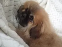 processed/0e617a31-8efb-453f-b2b5-5fce0c1a5760/listing/a519541d-bbf1-482d-9bd8-8bdfff9c9fb6/54d6287b-fe1b-441b-9d64-ea8e51d60de1