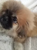 processed/0e617a31-8efb-453f-b2b5-5fce0c1a5760/listing/a519541d-bbf1-482d-9bd8-8bdfff9c9fb6/60de30c5-b0ef-4ecf-a7dc-56bdfeadd52a