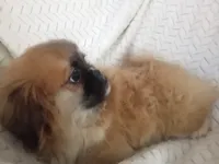 processed/0e617a31-8efb-453f-b2b5-5fce0c1a5760/listing/a519541d-bbf1-482d-9bd8-8bdfff9c9fb6/65725a14-5727-498c-96da-de60f5c5cc1f