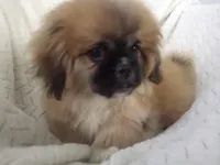 processed/0e617a31-8efb-453f-b2b5-5fce0c1a5760/listing/a519541d-bbf1-482d-9bd8-8bdfff9c9fb6/810c8c83-e3cf-479a-84d6-570178e1ace7