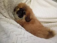 processed/0e617a31-8efb-453f-b2b5-5fce0c1a5760/listing/a519541d-bbf1-482d-9bd8-8bdfff9c9fb6/e050220e-a148-4d08-8768-cba4c62b06ee