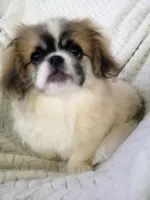 processed/0e617a31-8efb-453f-b2b5-5fce0c1a5760/listing/acb8af8e-0a9b-4e29-842c-4b276b344198/0f6f1dbf-8ad6-411f-a5db-dde2ff903ce8