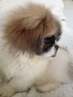 processed/0e617a31-8efb-453f-b2b5-5fce0c1a5760/listing/acb8af8e-0a9b-4e29-842c-4b276b344198/1ae8a4d8-2d3b-4e76-a7cf-bcc0245c52df