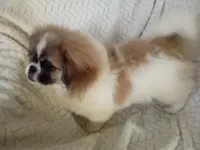 processed/0e617a31-8efb-453f-b2b5-5fce0c1a5760/listing/acb8af8e-0a9b-4e29-842c-4b276b344198/1b489eae-c679-49cb-8ddb-902f251c0cc4