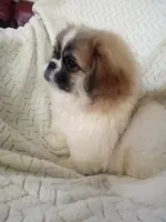 processed/0e617a31-8efb-453f-b2b5-5fce0c1a5760/listing/acb8af8e-0a9b-4e29-842c-4b276b344198/34371c99-4640-479f-8e2e-21e66d915568