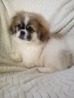 processed/0e617a31-8efb-453f-b2b5-5fce0c1a5760/listing/acb8af8e-0a9b-4e29-842c-4b276b344198/5ccefa47-ca9c-47f5-9d82-218df4021ec7