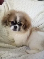 processed/0e617a31-8efb-453f-b2b5-5fce0c1a5760/listing/acb8af8e-0a9b-4e29-842c-4b276b344198/8ecdf53d-4111-435a-acb5-0dbe78049748