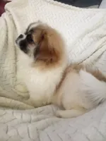 processed/0e617a31-8efb-453f-b2b5-5fce0c1a5760/listing/acb8af8e-0a9b-4e29-842c-4b276b344198/b817e80d-a35c-4f4b-beca-f2e98add6311