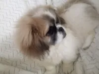 processed/0e617a31-8efb-453f-b2b5-5fce0c1a5760/listing/acb8af8e-0a9b-4e29-842c-4b276b344198/c43aeca6-1d91-4150-a871-3a9361d26cfe