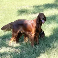 processed/0e75698f-28a6-40be-9536-a89e79e3a798/facility/41eae148-9e16-4342-a970-bbfc353c6260