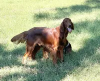 processed/0e75698f-28a6-40be-9536-a89e79e3a798/facility/41eae148-9e16-4342-a970-bbfc353c6260