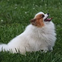 processed/0e75698f-28a6-40be-9536-a89e79e3a798/facility/b04f9fc2-663f-4669-a95f-f919339dc9ef