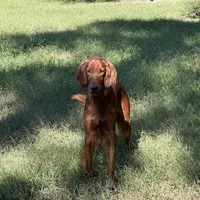 processed/0e75698f-28a6-40be-9536-a89e79e3a798/facility/e23c1742-3beb-4419-bdd5-cc3651f57df1