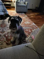 processed/0e7951be-f48f-48eb-8e78-aa723a31586e/facility/1f798a21-4351-46c9-a0c0-efe45ebe35b8