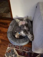 processed/0e7951be-f48f-48eb-8e78-aa723a31586e/facility/21789d8d-d70d-4591-ab61-529919492cb2