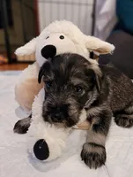 processed/0e7951be-f48f-48eb-8e78-aa723a31586e/listing/09989993-a927-4f72-a3ea-ce8c48f9ee46/89a20a04-15b8-4807-a002-6ac75cf84a2c