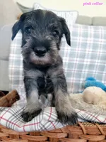 processed/0e7951be-f48f-48eb-8e78-aa723a31586e/listing/09989993-a927-4f72-a3ea-ce8c48f9ee46/b6db0b90-8157-4794-8f78-9ea3f01f5eaf