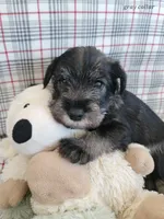 processed/0e7951be-f48f-48eb-8e78-aa723a31586e/listing/1cfa65bb-cb48-4649-8c13-8414cbf1aee6/2cda6d08-3578-4bb9-a046-e400e034295e