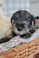 processed/0e7951be-f48f-48eb-8e78-aa723a31586e/listing/1cfa65bb-cb48-4649-8c13-8414cbf1aee6/3ba52a3f-0ec2-41a9-af86-7c30a4a1ef4a