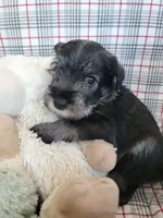 processed/0e7951be-f48f-48eb-8e78-aa723a31586e/listing/1cfa65bb-cb48-4649-8c13-8414cbf1aee6/ada5ed6a-df62-474a-8e10-575b230562eb