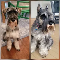 processed/0e7951be-f48f-48eb-8e78-aa723a31586e/listing/1cfa65bb-cb48-4649-8c13-8414cbf1aee6/e5afc691-3586-40ef-bea6-1d9504033f4f