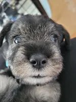 processed/0e7951be-f48f-48eb-8e78-aa723a31586e/listing/6d543650-01c7-41c2-8706-b8517e474c5a/0d0d5f54-7aad-4003-850b-d5b10c008541